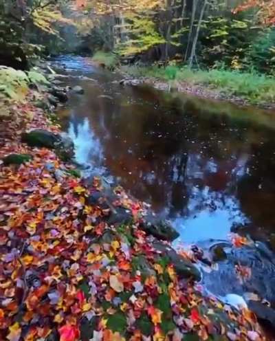 ? A stunning river in Vermont getting hit hard by fall ?