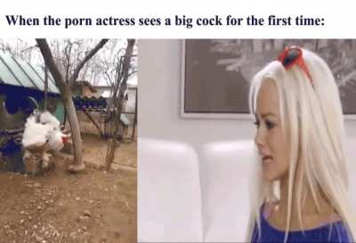 oh it's so big