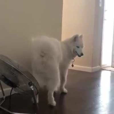 Sometimes your butt just gets hot ?