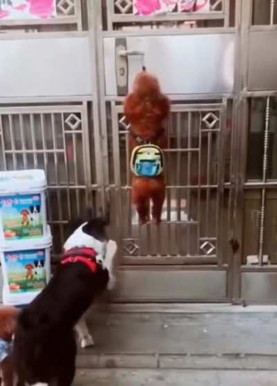 Maybe maybe maybe
