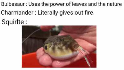 Gotta Catch 'em all !