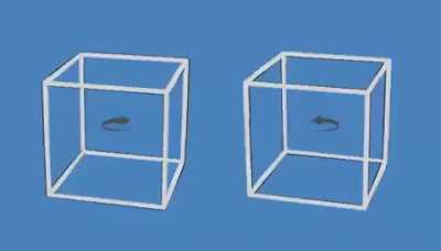 Mind bending Illusion