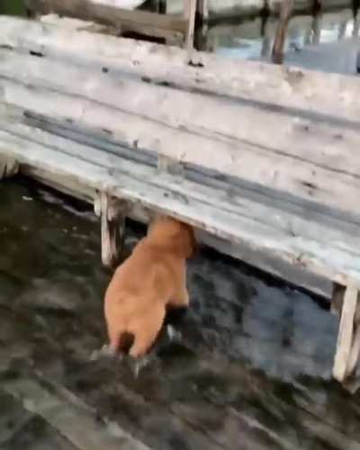 Zooming through the water