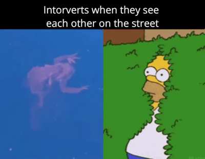 Didn't see you there..
