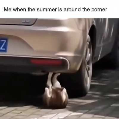 Gotta flaunt the abs