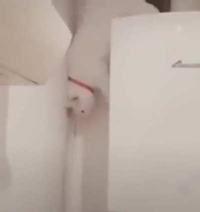 perfectly executed