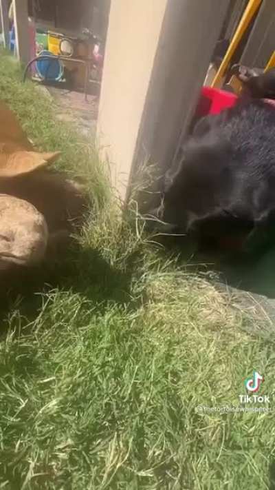 Best friends