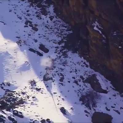 ? A snow leopard shows its superb skill in a dramatic chase of a Siberian ibex