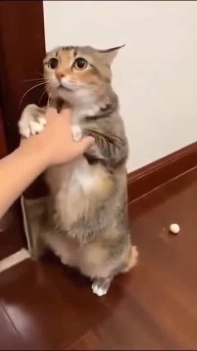 Please don't do that?