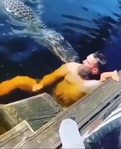 Alligator afternoon snack