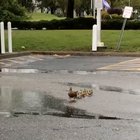 Just a little wind
