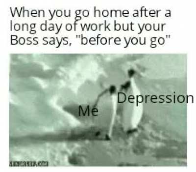 Fair Enough