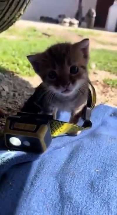 little helper