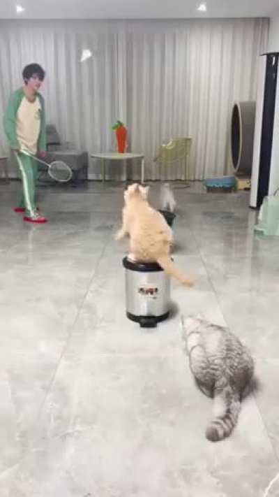 Trick shots..