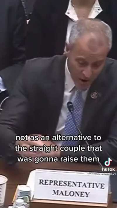 Rep. Maloney speaks on adoption by same-sex couples