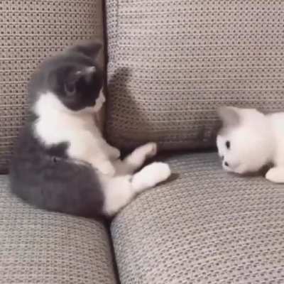 Play time ??
