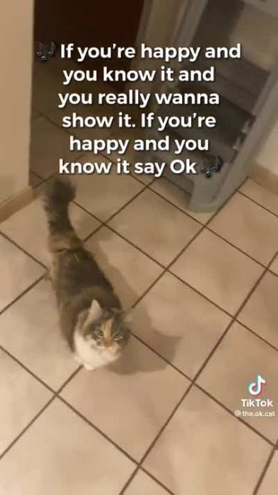 Ok