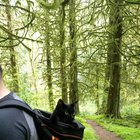 We pack our cat with us everywhere we go. ?