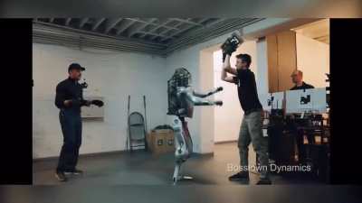 Don't try to bully this robot ?