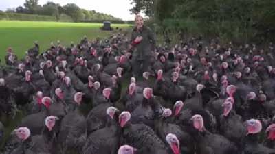 Turns out what turkeys REALLY like is a good laugh, at Anna's expense