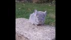 This cute little thing melted my heart...awww