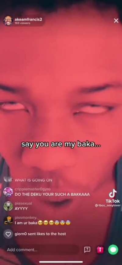 "say you are my baka"