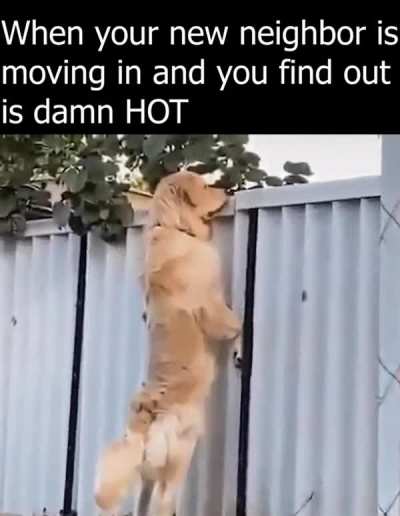 sneaky boi