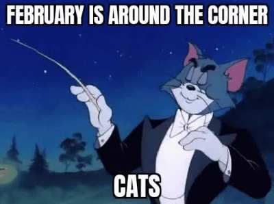 So Maestro... It's beginning?!