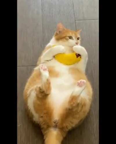 Wait for it ?