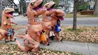 My son happened across a herd of other t-rex last night and they asked him to join them.
