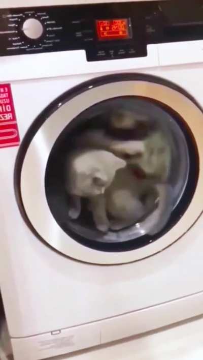 Maybe Maybe Maybe