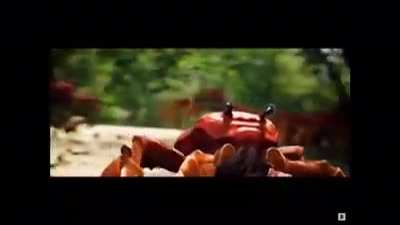 Crab Rave. We all like it, right?