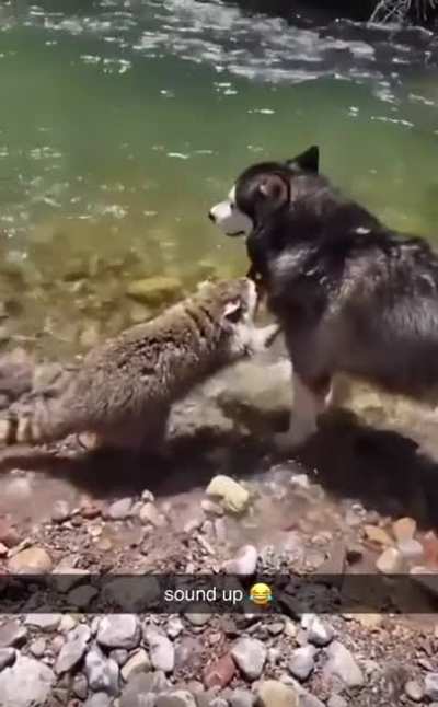 hey little mamma, let me whisper in your ear