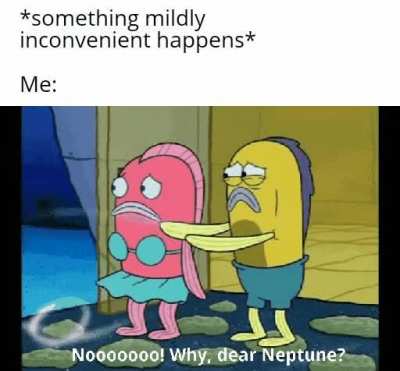 Every damn time