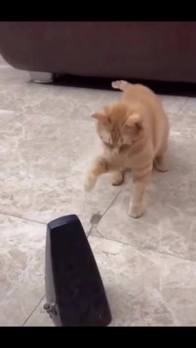 Maybe maybe maybe