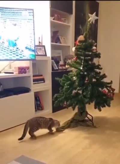 Christmas is over