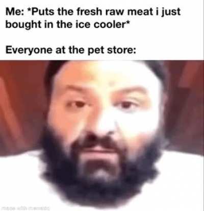 Ratatouille