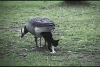 The miracle of birth.