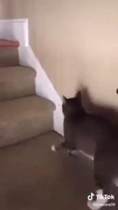 I'm just gonna got upstairs ??‍?
