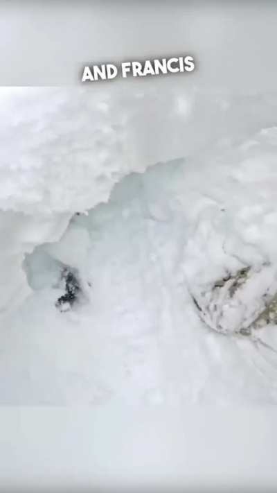 Barely saw his board. Saved this man's life