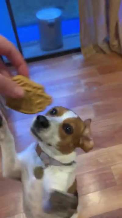 Maybe maybe maybe