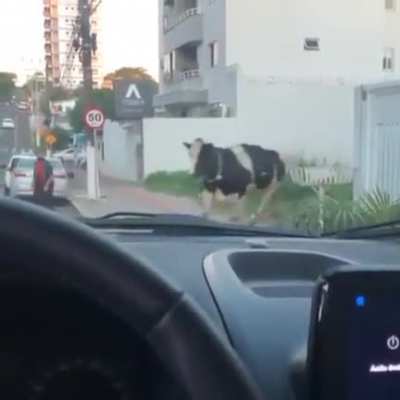 Maybe maybe maybe