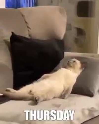 Also Me Every Day