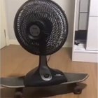 Don't look at me I'm just a skateboard fan