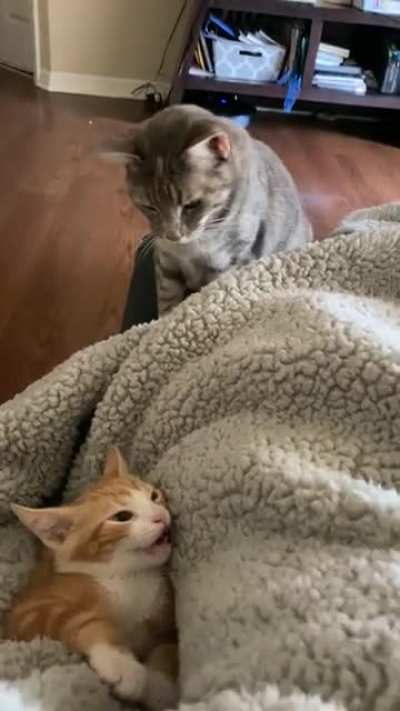 She hated him for the first few days