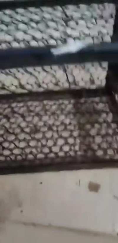 Received this video informing me they caight a mouse while they were listening to a sermon. The line spoken in the sermon was perfect.?