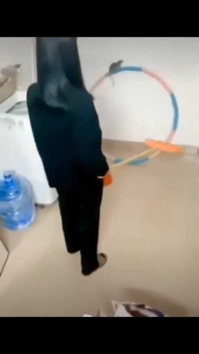 Maybe Maybe Maybe