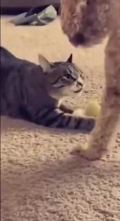 ??