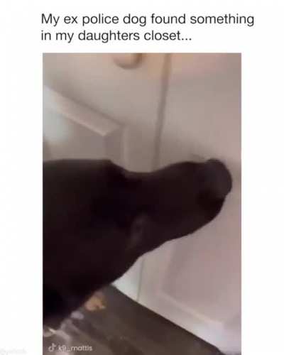 What a snitch