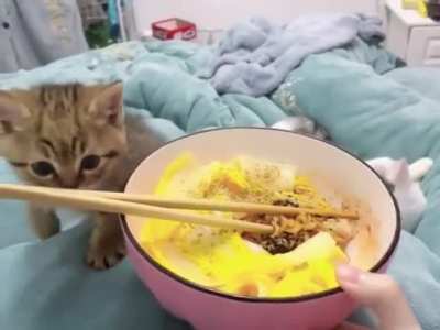 yes, yes, food
